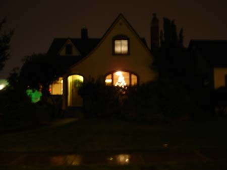 Outside Christmas Tree